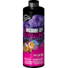 Coralline Algae Accelerator