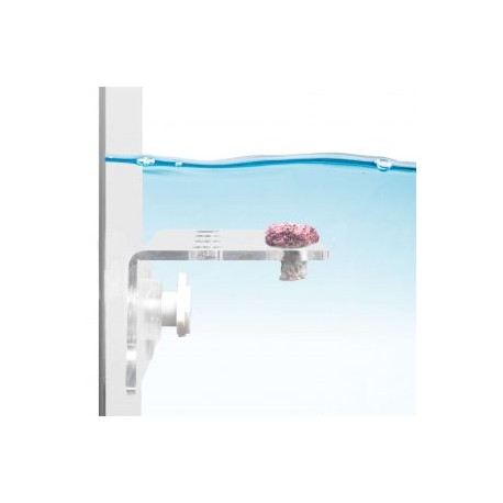 Estante para corales