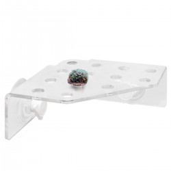 Estante para corales