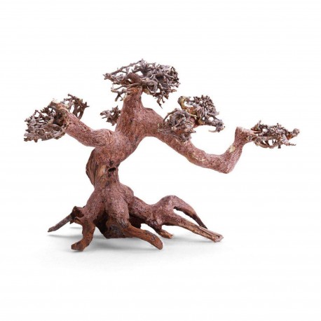 Bonsái con rama separadas