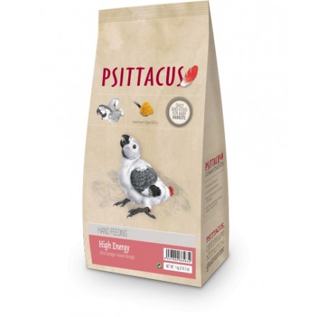 Papilla Alta Energia