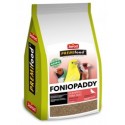 Foniopaddy Premifood 1Kg