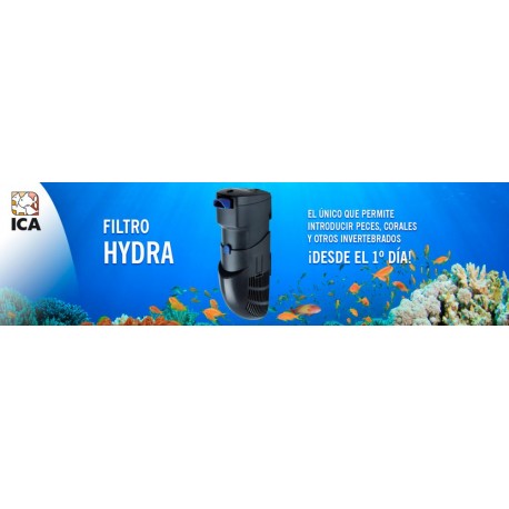 FILTRO HYDRA
