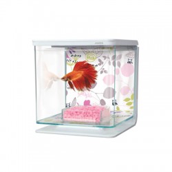 Kit Bettas 2 Litros Hagen