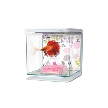 Kit Bettas 2 Litros Hagen