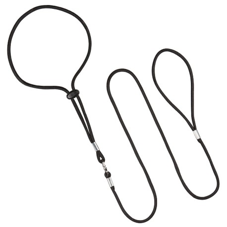 Correa Collar Nylon Exposicion