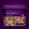 REEF SALT