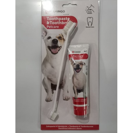 Cepillo y Pasta de Diente