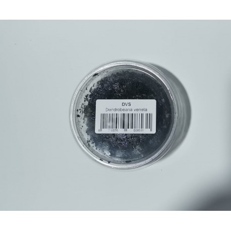 Alimento Vivo Lombriz