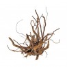 Madera Natural Sunken Root Pieza 30-40cm