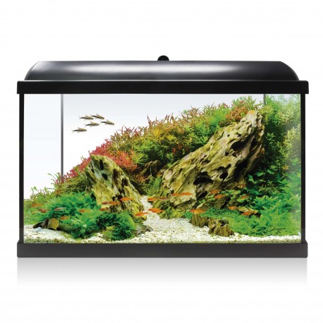 Kit aqua led RGB 68 60 Litros