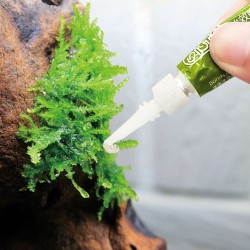 Adhesivo Para Agua Dulce 4 Grs.