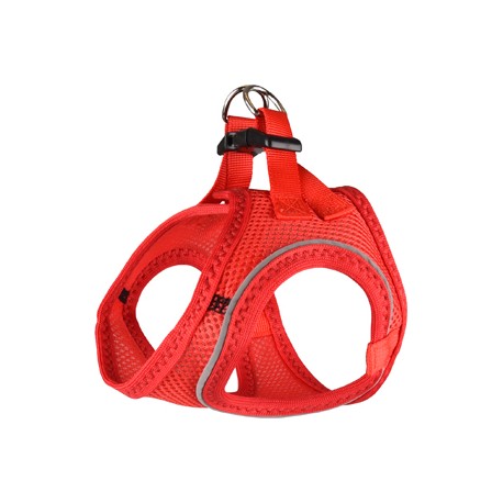 Arnes Bento Flamingoamingp