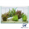 Aquascape Basic CON KIT