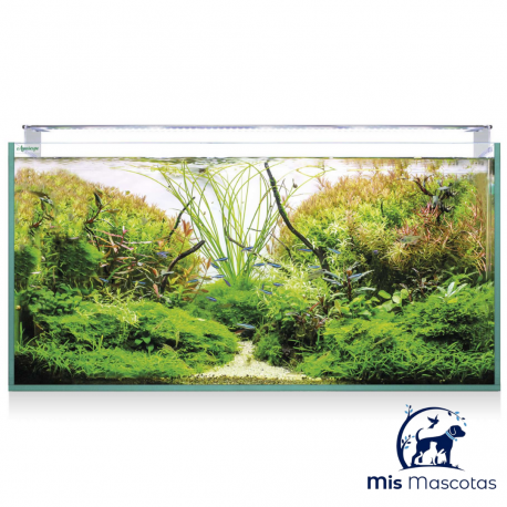 kit Aquascape Pro RGB 136 Litros - Mismascotasronda