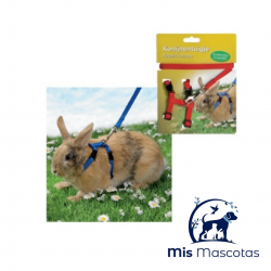 Arnes + Ramal Conejo Enano - mismascotasronda