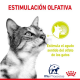 Royal Canin Sensory Smell en Salsa 85 Gr www.mismascotasronda.es