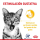 Royal Canin Sensory Taste en Salsa 85 Grs www.mismascotasronda.es