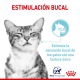 Royal Canin Sensory Feel en Salsa de 85 Grs www.mismascotasronda.es