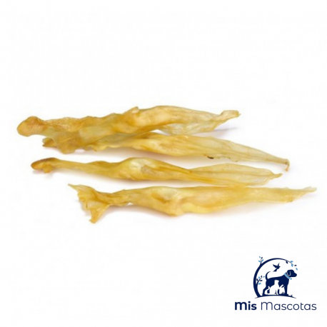 Orejas de Liebre www.mismascotasronda.es