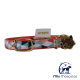 Collar para Gato Circus Arppe