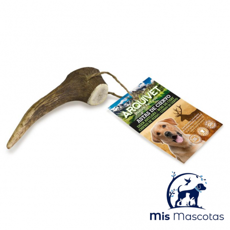 Asta de Ciervo (Talla M) www.mismascotasronda.es