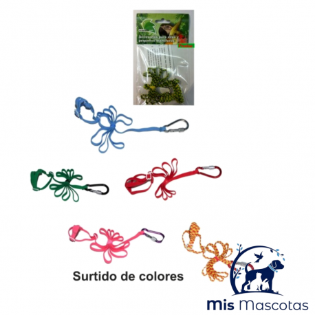 Arnés para Agapornis y Periquitos de Colores www.mismascotasronda.es