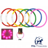 Collar Led 50cm Colores Surtidos www.mismascotasronda.es
