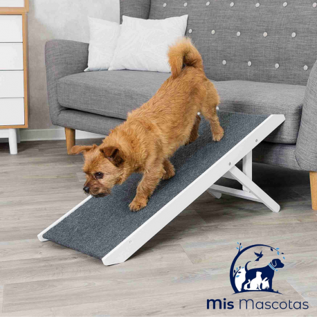 Rampa de Altura Ajustable, 36 × 90 cm www.mismascotasronda.es