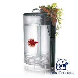 Betera Kit Betta Flora LED (2 L)