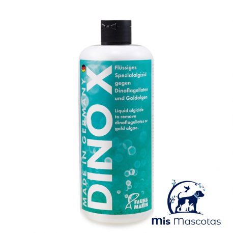 Dino X www.mismascotasronda.es