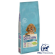 PURINA DOG CHOW Puppy Cordero 14 Kgs www.mismascotasronda.es
