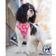 Arnés Reversible Perro Princess www.mismascotasronda.es