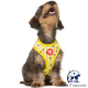 Arnés Reversible perro California www.mismascotasronda.es