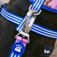 Correa para perro París www.mismascotasronda.es