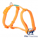 Arnés Nylon Basic Naranja Freedog