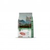 BRAVERY CHICKEN KITTEN CAT 2 KGS