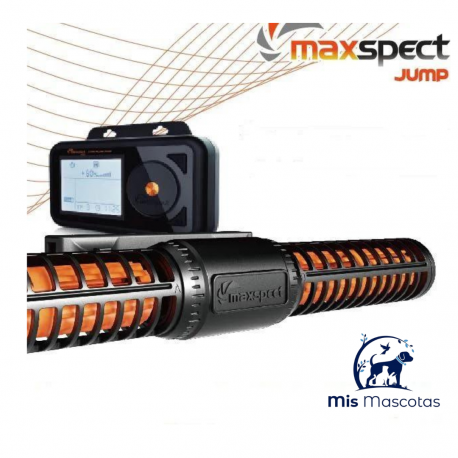 MAXSPECT, GYRE 330 CLOUD EDITION - DOUBLE