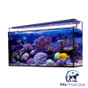 Acuario marino AQUA OCEAN Hydra (240 l)