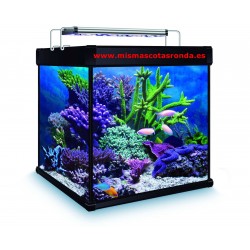 Kit acuario aqualux pro cubo 190 L ( Marino )
