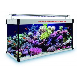 kit acuario aqualux pro 450 L ( Marino )