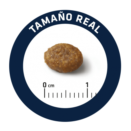 Advance Puppy sensitive