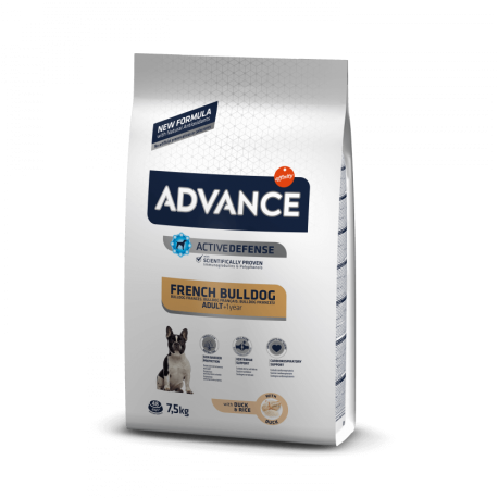 ADVANCE BULLDOG ADULTO