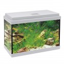Acuario Aqua led 20 Litros
