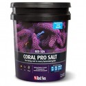 Sal red sea coral pro