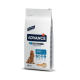 Advance Adult Medium 1 -7 años