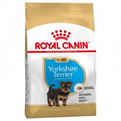 Yorkshire Terrier Junior Royal Canin
