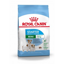 Royal Canin Mini Starte