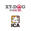 XT - DOG (ICA)
